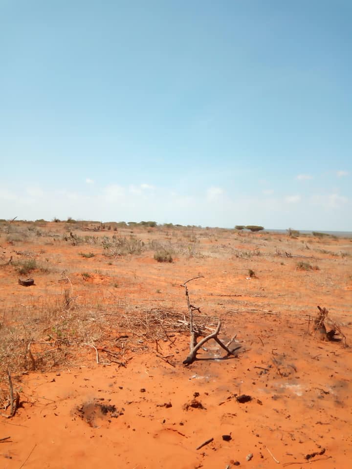 Project management role